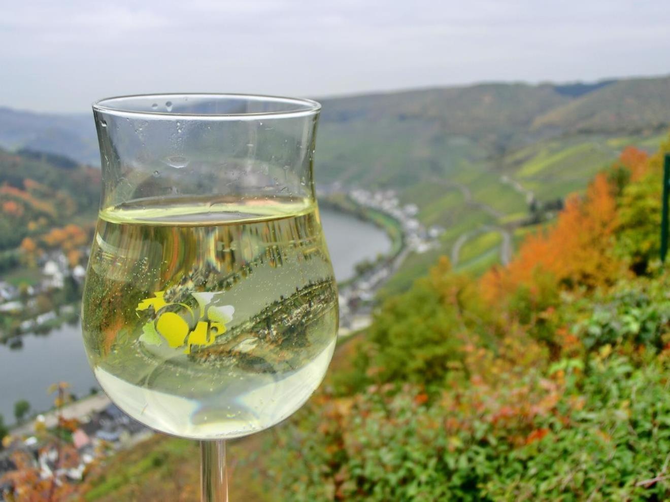 Mosel Ferienhaus Zell Extérieur photo